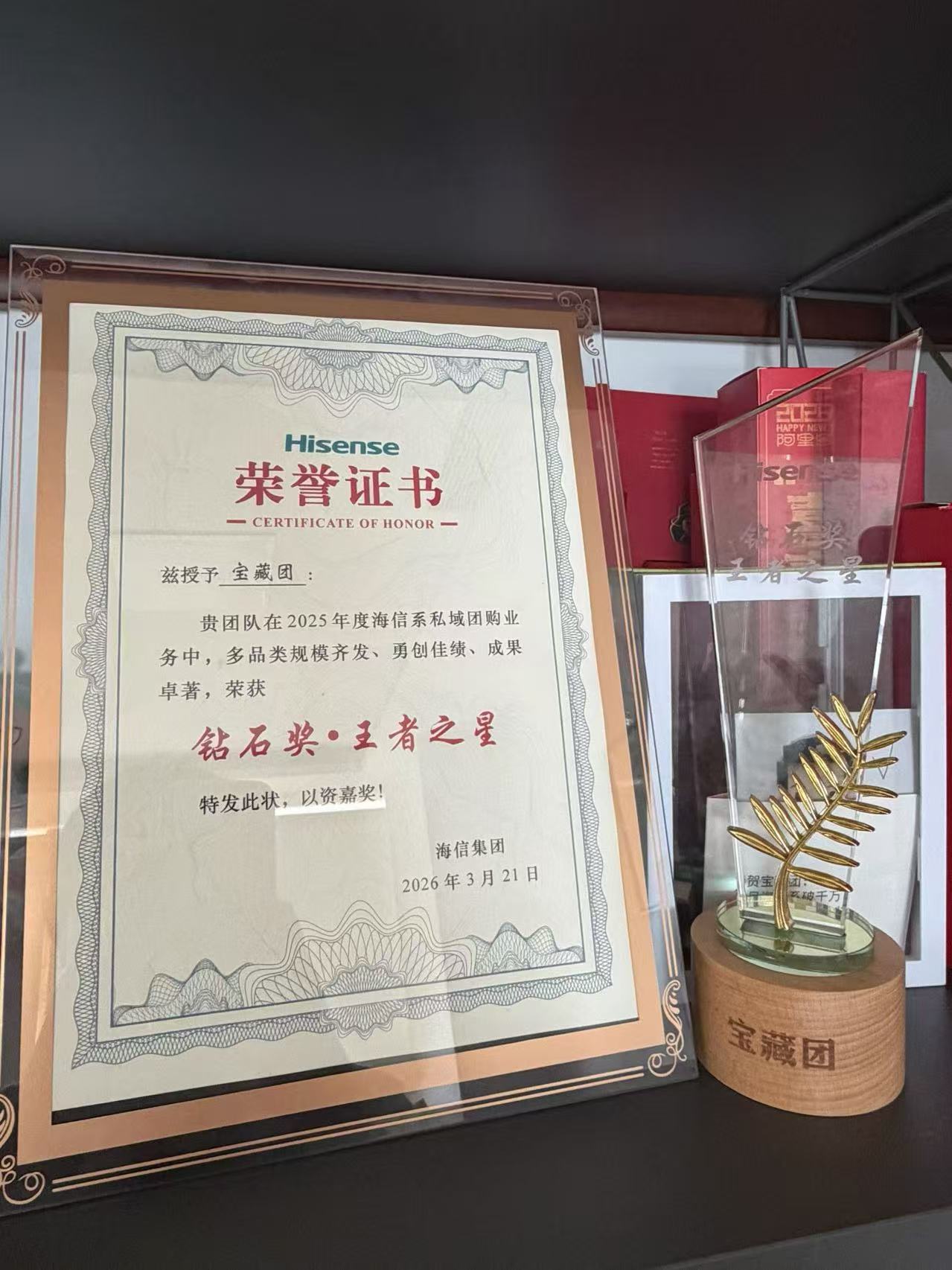 海信 钻石奖·王者之星 证书与奖杯
